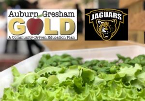 Big Green Learning Space Comes to AG Gold School