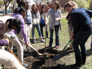 ISU and Westcott Elementary Commemorate Mentor Program with Tree Dedication