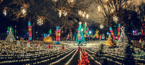 ComEd Shares the Light by Supporting Community Holiday Lighting Events